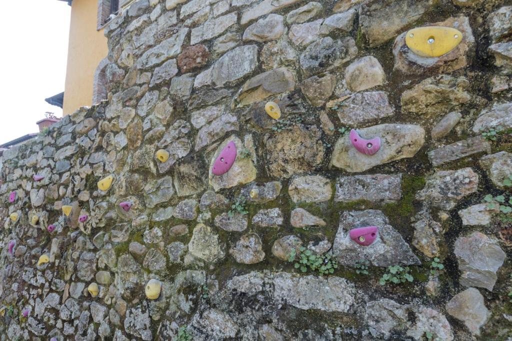 Country house Floreu De Remis Casa *